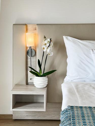 1 queen bed