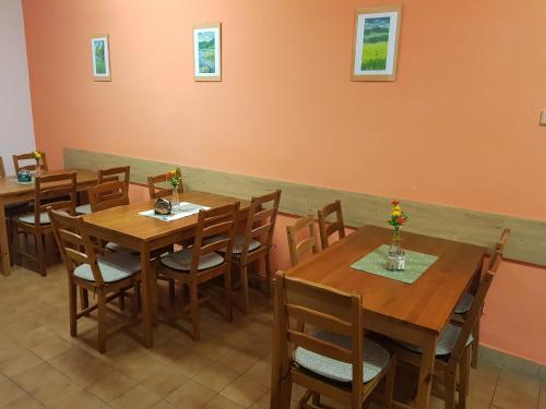 Iekārtas, Penzion Hanka Orličky (Penzion Hanka Orlicky) in Orlicky