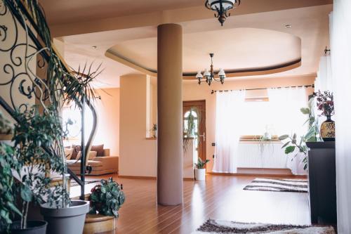 Casa cu Palmieri in Călimănești