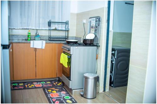 Ruaka View Apartments 2 Bedroom - 2 br in Ruaka