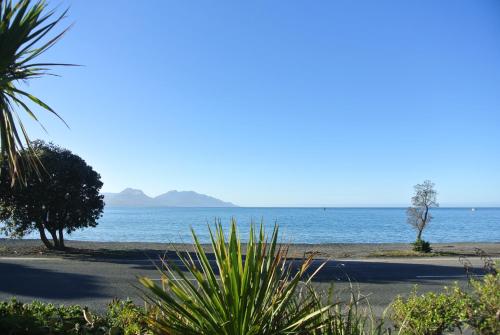 Blue Seas Motel - Accommodation - Kaikoura