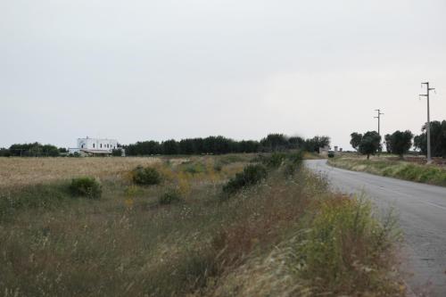 Masseria La Duchessa Masseria La Duchessa