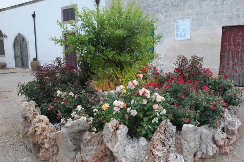 Masseria La Duchessa Masseria La Duchessa