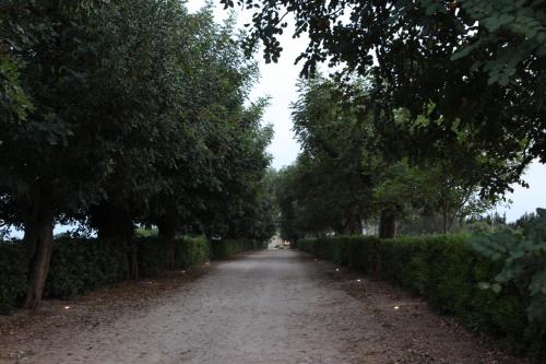 Masseria La Duchessa Masseria La Duchessa