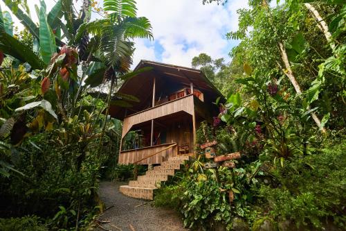 Casa Divina Eco Lodge - Tandayapa