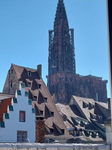 Hypercentre Strasbourg Vue Cathédrale, Strasbourg (photo 4)