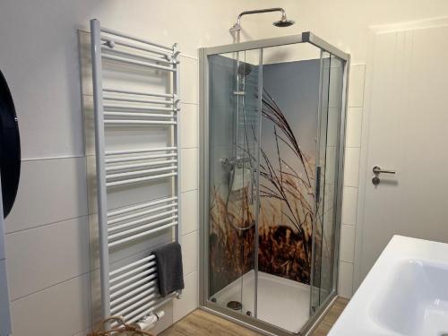 Shower, Ferienwohnung Wohlmann in Dillingen an der Donau
