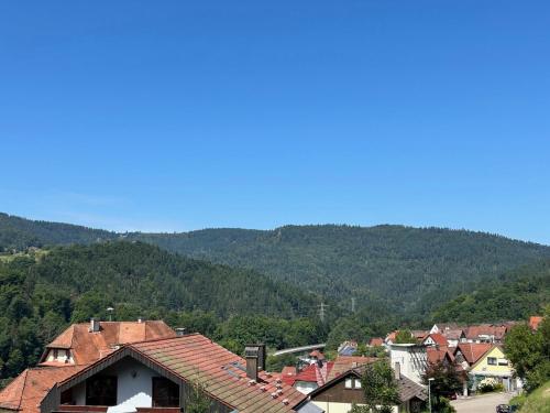 Black Forest, relaxation, YOUR place!, Forbach (foto 2)
