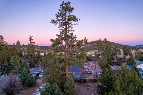 Entertainment Cabin #610