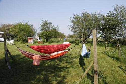 Landhaus-Sutje-Im-Gruenen in Brosum