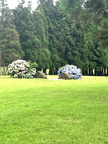 ที่เที่ยวใกล้ที่พัก, Casa MARGO in วิลา โนวา (เกาะ Terceira)