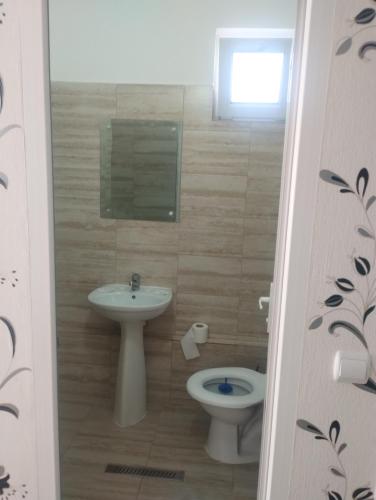 Casa Scurtu 2025 in Костінешть