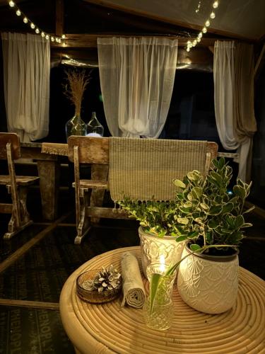 Stenata LightWill, Banya (photo 3)