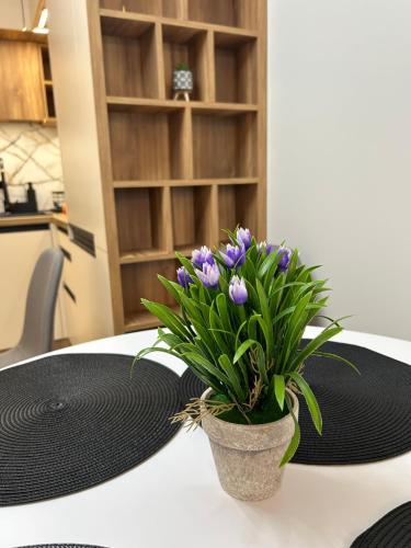 Atana Home Drujba, Sofia (Foto 6)