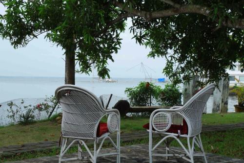 Orchid Lake View Homestay - image 5