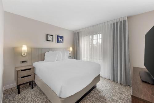 Sonesta ES Suites Austin The Domain Area in Austin, USA
