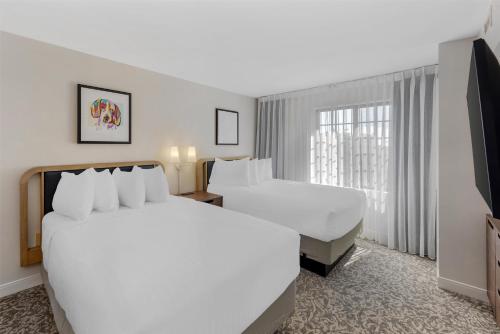 Sonesta ES Suites Austin The Domain Area - image 14