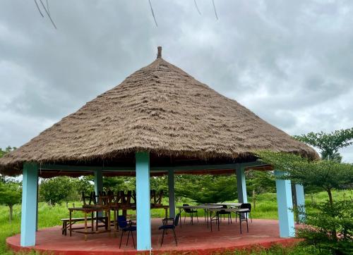 Catalyst Academy in 貢朱爾