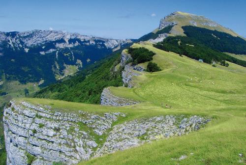 Roulottes au pied du Vercors - image 4