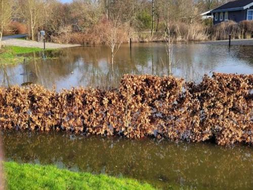  Seaside Charm in Ristinge-By Traum in Humble