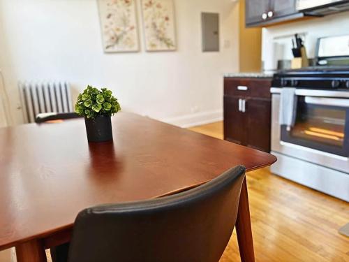 Homey Vibes Furnished 1BR Apt - WLawn 2W in Hyde Park