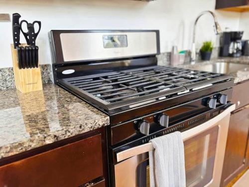 Homey Vibes Furnished 1BR Apt - WLawn 2W in Hyde Park