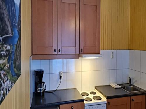 บริการและสิ่งอำนวยความสะดวก, 7 person holiday park home in Lærdal in เลอดาล