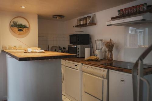 Appartement cosy 38 m2 avec jardin de 21 m2, Lyon (fotografie 4)