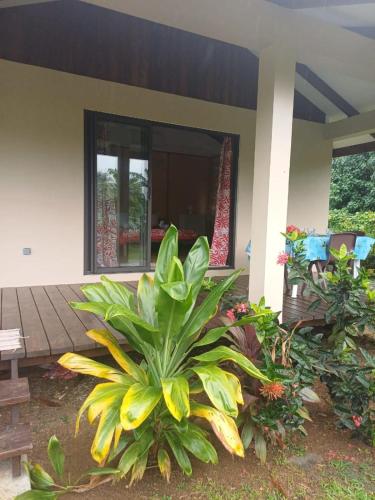 Fare Tekura in ฮาอาปิติ