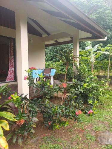 Fare Tekura in ฮาอาปิติ