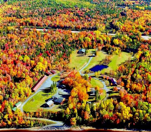 FOUR Nature Resort, Chelmsford (photo 10)