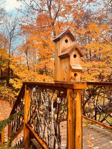 FOUR Nature Resort, Chelmsford (photo 6)