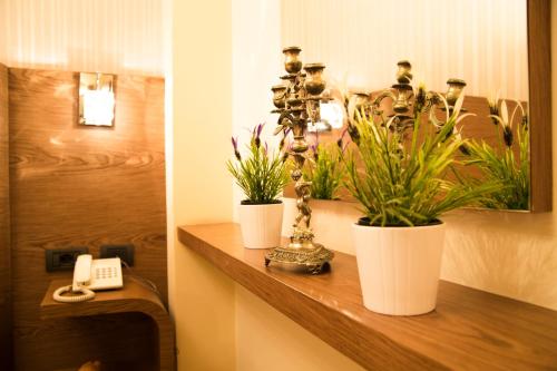 Oxford hotel, Tirana (photo 9)