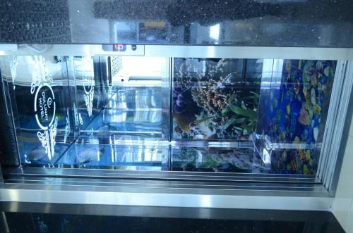 Sinop Dolunay Hotel - image 8