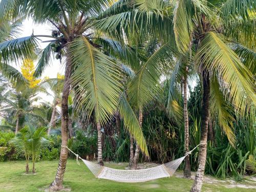 Hibiscus Hill Guest House - Elegant Garden Oasis, Pink Sand Bch home in Dunmore Town