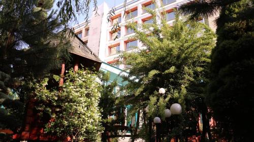 Hotel Carpati - image 12