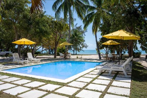 Laughing Bird Studio #6 - Brand New Stylish Apartment, Pool, Bea condo