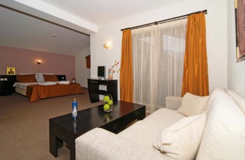 Spa Hotel Planinata - image 6