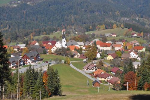 Apartmaji Koželj