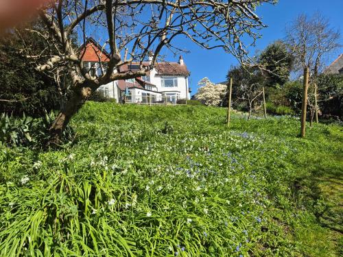 Tregarth House – St. Austell