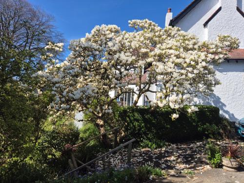Tregarth House – St. Austell