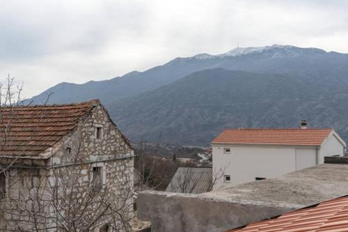  Apartment Mario in Zagvozd