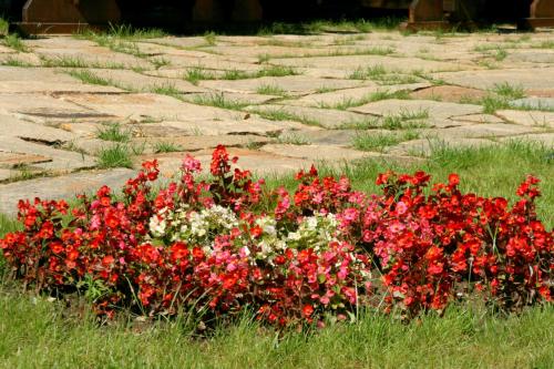 Spa Hotel Planinata - image 13