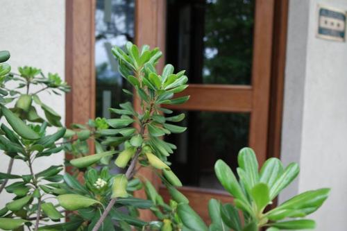 Hotel Livio, Brescia