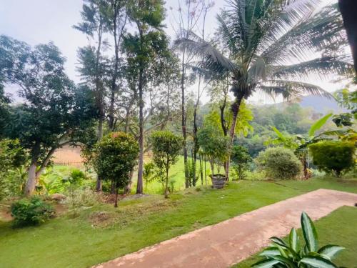 Wow Field Homestay - image 2
