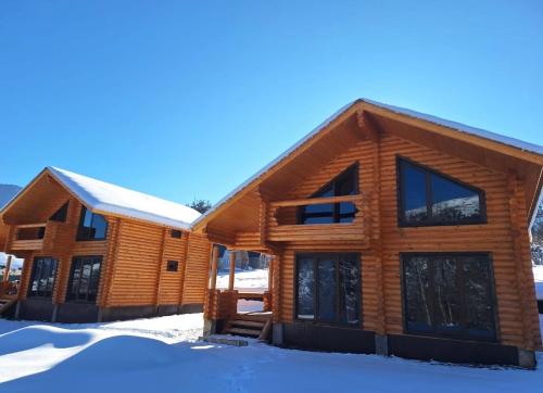 Cottage Borjomi