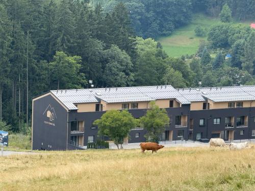 Näkymä ulkoa, Luxury Mountain Apartment in Cerny Dul