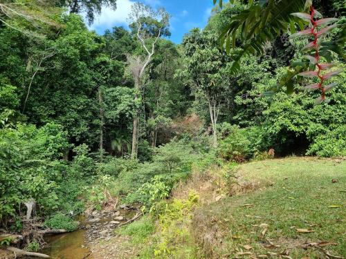 Where The Forest Meets The Sea in บลูมฟิลด์