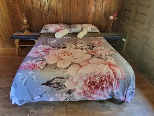 Where The Forest Meets The Sea in บลูมฟิลด์