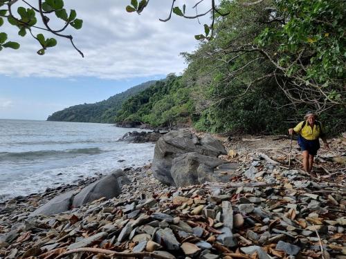 Where The Forest Meets The Sea in บลูมฟิลด์